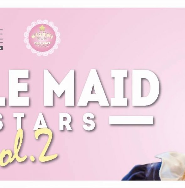 Bobble Maid Allstars &#8211; Vol.2